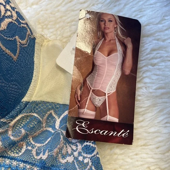VINTAGE Escante Nylon Lace Mesh Corset with Garnets Sheer Ivory Blue Size Small - Picture 2 of 8